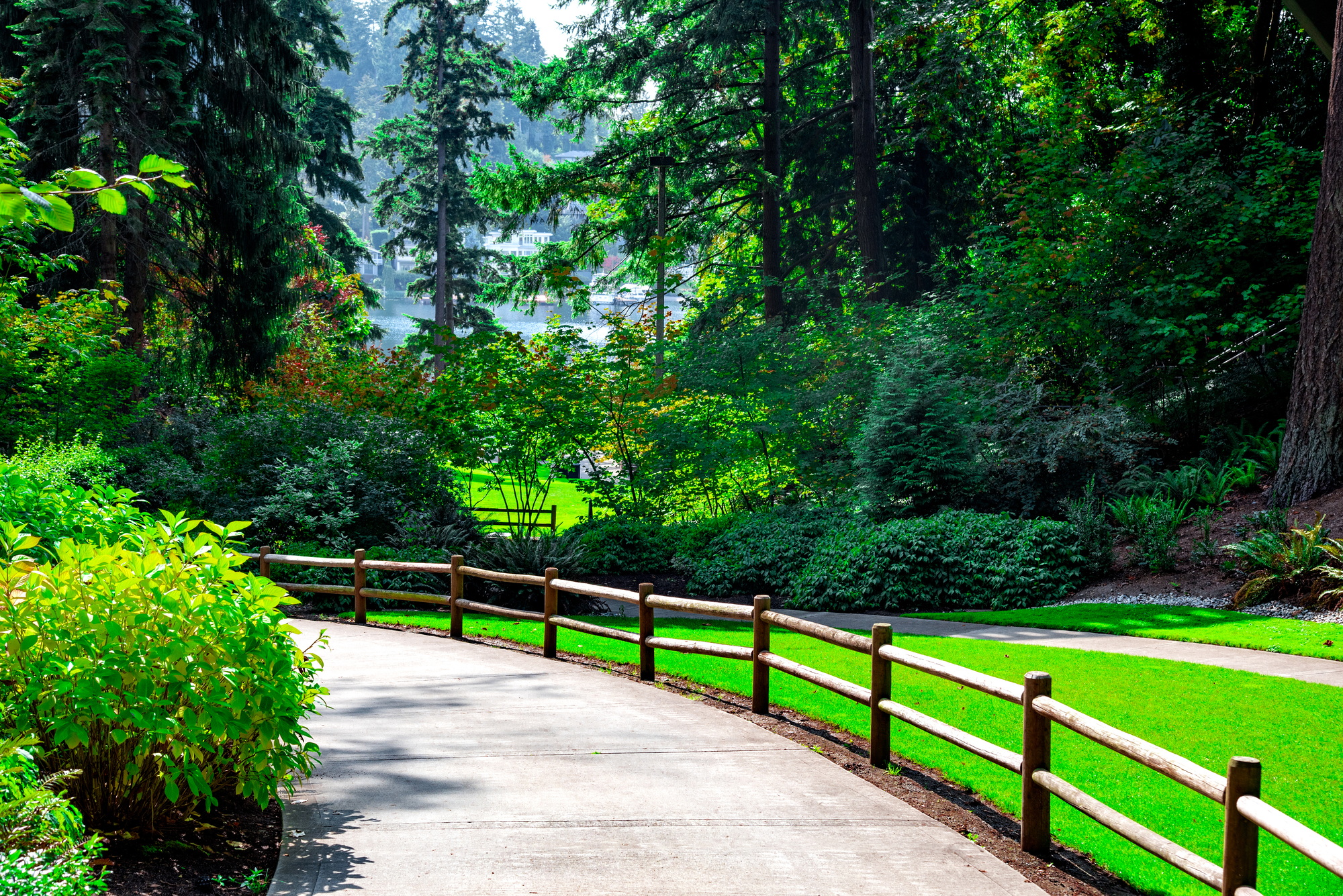 A beautiful wooden fence running along a paved driveway through lush green lawn and tree landscaping